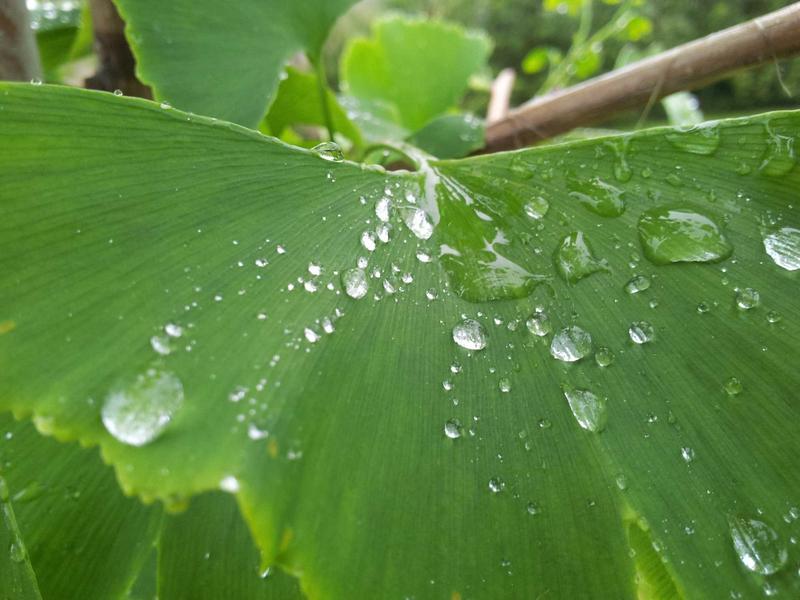 味蕾觉醒<br>qyf5seag.cn 分子料理实验